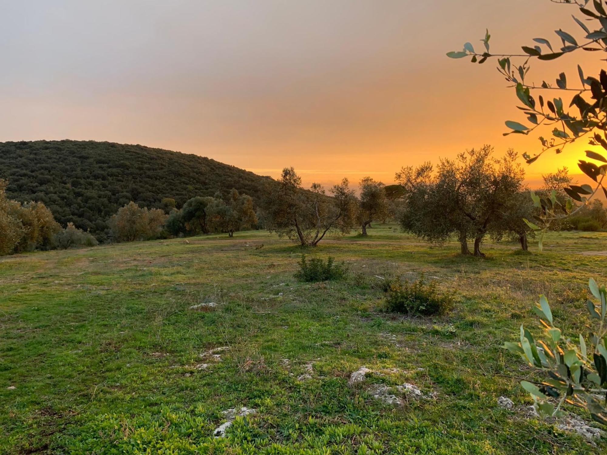 Agriturismo Poggio Falco Batignano Ngoại thất bức ảnh